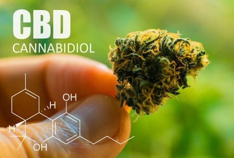 Alles über CBD