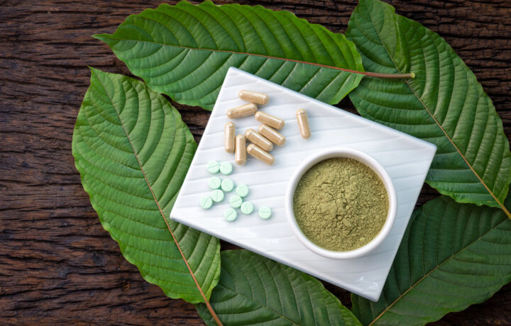 Kratom – Eine alte Pflanze neu entdeckt