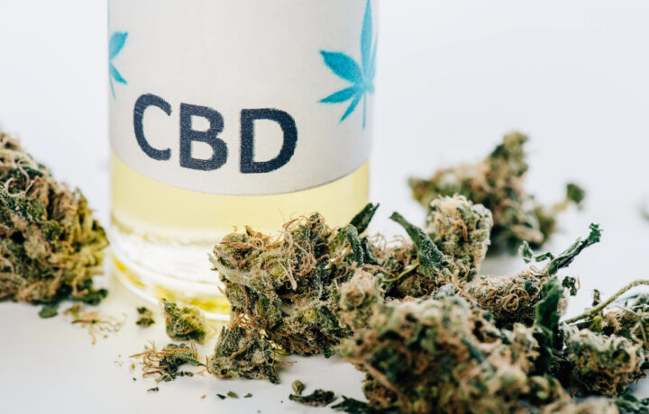 CBD-Blüten im Alltag: Entspannungshelfer oder Lifestyle-Trend?