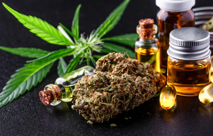 Die rechtliche Grauzone von CBD-Blüten: Was Konsumenten 2025 wissen sollten